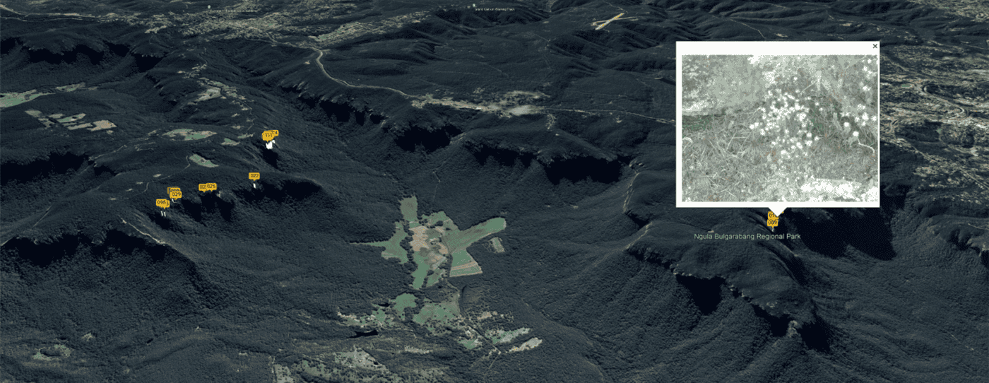 Google Earth KMZ file mapping the rare plant survey data for use in field operations